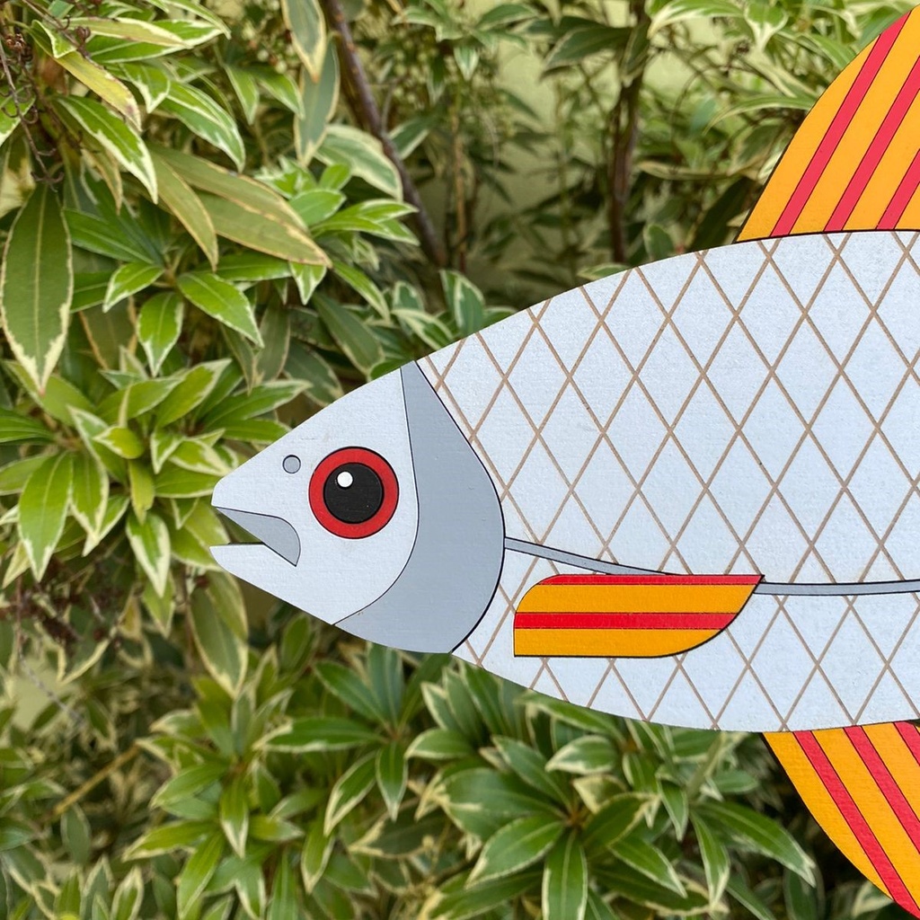 GARDON - Fish n°2